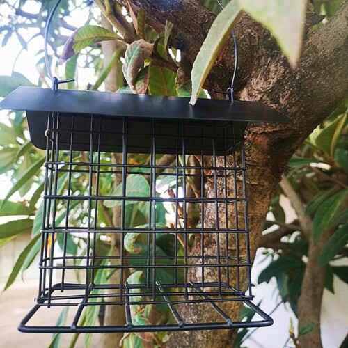 Hängende Vogelfutterstation für draußen 2