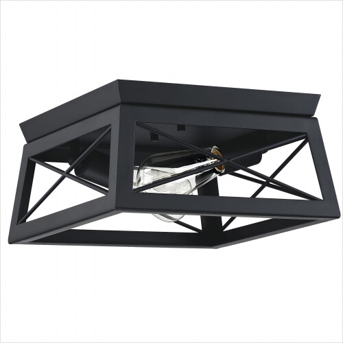 Unbranded2Light Caged Square/Rectangle Flush Mount Fixture Matte Black 2