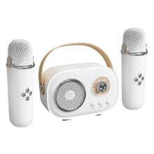 Mini machine de karaoké Jixopn avec 2 microphones sans fil, enceinte Bluetooth portable, idéale pour la maison, les fêtes d'anniversaire et les