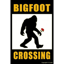 Insegna vintage in metallo con Bigfoot, poster decorativo per bar e club, decorazione per la casa con Bigfoot, pittura su ferro, regalo per bagno e