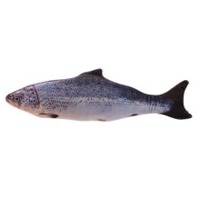 30 cm sølvfarvet Arowana kattelegetøj simuleringsfisklegetøj USB-opladning