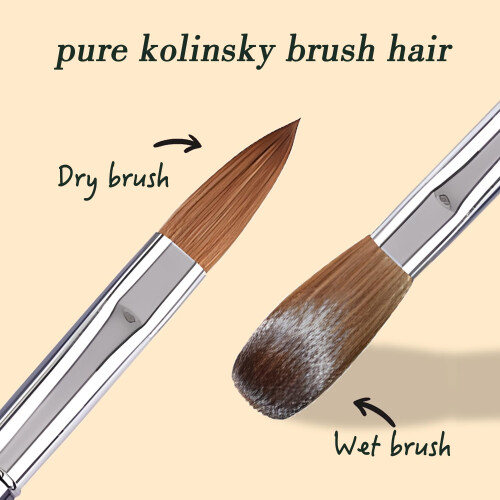 Size 8 Kolinsky Acrylic Nail Brush with Gradient Metal Handle for Precise Acrylic Application 2