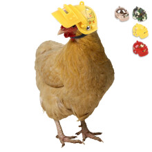 Jacenvly2024New1Pc Kippenhelm PP Grappige Premium Helmen Huisdierbenodigdheden voor Vogels, Kippen, Kuikens, Huisdieren, Paasdecoratie,