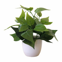 Keinotekoinen ruukussa oleva vihreä bonsai valkoisella pyöreällä ruukulla toimistoon ja kotiin, keittiön pöydälle, sisätilojen sisustukseen