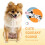 Prettyui5Pack Brinquedos para Cães Mastigáveis com Apito, Sem Enchimento, Resistentes 5