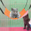 Hamagán Cat Mór Teaghlaigh Leaba Codlata Cat Peataí In-análaithe Hamagán Scíthe Kitten Peataí 6