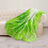 Soft Cabbage Blanket Funny Novelty Blanket 150x150cm 4