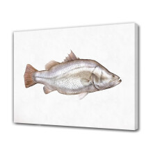 Pôster em tela com pintura de peixe para decoração de quarto, paisagem esportiva, escritório, presente, estilo moldura, 40x60cm (16x24 polegadas)