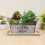 hengzirui12" rektangulära fat, 3-pack droppbricka för blomkruka 6