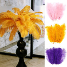 10Pcs Multi-Color Ostrich Feather Plumes, Pink Gold Purple, DIY Party Decor, Wedding Centerpieces, Home Craft – Pink
