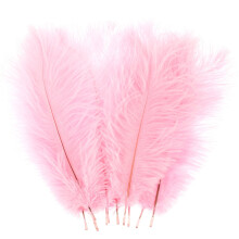 Pluokvzr 10Pcs Ostrich Feather Multi-Color Ostrich Feather Plume Decorative Pink Gold Purple Feather Craft Fashion DIY Large Feat