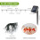 Solar Powered 30 LED String Light Garden Path Yard Decor Lamp Outdoor Waterproof 8