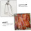 4 Pcs Roast Duck Clip BBQ Tools, Chicken Grill Clamp Set, compatible with Oven & Roaster Accessories 3