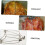 4 Pcs Roast Duck Clip BBQ Tools, Chicken Grill Clamp Set, compatible with Oven & Roaster Accessories 2