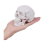 Miniatura de crânio humano, modelo anatômico de 3 partes. 2