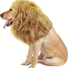 VISALY for Dog Black for Dog Costume for Dog Realistic Wig Pet Clothes Adjustable Costume for Dog with Ears for Medium and Large Dog Dress Up