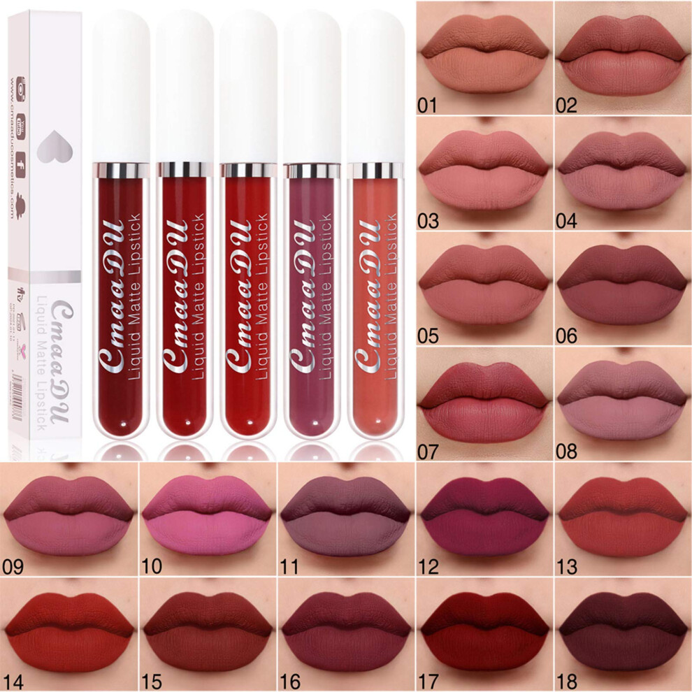 Matte Liquid Lipstick Waterproof Lip Gloss Long Lasting Nonstick Cup  Pigment #05 2.5ml