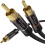 – Μήκος 6,5 μέτρων – Καλώδιο RCA/Phono Y, 1 σε 2RCA/Phono, Καλώδιο στερεοφωνικού ήχου 1