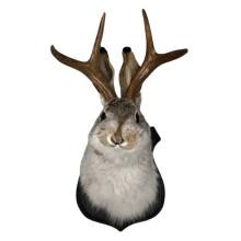 Sculpture murale tête de cerf, statue d'animal en résine synthétique, compatible avec une décoration intérieure rustique d'automne - 25 x 13 x