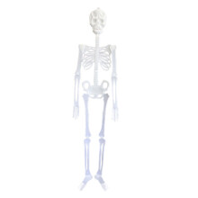 SUSUchens Halloween Világító Csontváz Dekoráció Teljes Testű Csont Koponya Kellék Ijesztő, Pozícionálható Csontváz Dísz Halloween Party
