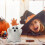 Μαξιλάρια Miyuadkai Εκπτώσεις Μαξιλάρι Halloween Specter Μαξιλάρι Halloween Specter Δώρο Λούτρινο 4