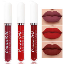 Matte Liquid Lipstick Set Waterproof Long Lasting Pigment NonTransfer 3 Colors #9