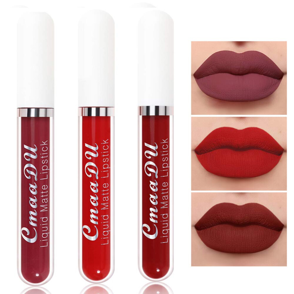 Matte Liquid Lipstick Set Waterproof Long Lasting  Pigment NonTransfer 3 Colors #9