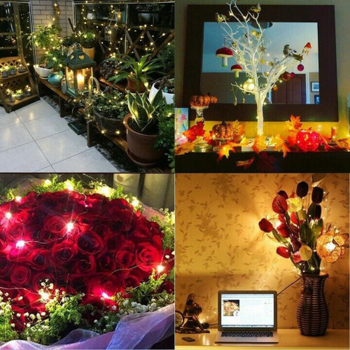 5m/10m/20m50/100/200LEDs Αδιάβροχα φωτιστικά LED σε σχήμα κορδονιού, χάλκινα φωτάκια νεράιδας 1