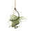 Support suspendu en forme d'ananas, crochet en fer pour pots de fleurs. 6