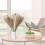 Liquidation de 60 vases de fleurs séchées décoratives de style bohème 8