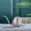 Gießkanne aus Edelstahl 400 ml Silber 7