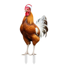 Décoration de jardin décorative de Noël : poule, hérisson, lapin (2D) en acrylique, 25 cm, compatible avec les décorations de Noël.