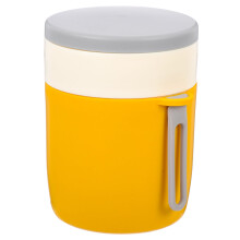 Boîtes à soupe de voyage en acier inoxydable avec couvercles hermétiques pour les aliments des enfants