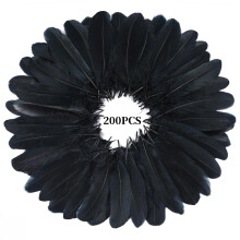 200 Pcs Craft Goose Feathers MODANU 5-6inch Black Goose Feathers for DIY Crafts, Festival Costume, Cosplay Wings and Party Home Decorations