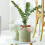 2Rolls Ribbon Gift Wrapping Burlap Exquisite Decor Creative Present Fabric Fringe for Decorative 6