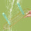 Jacenvly Bathroom Decor Clearance Πλενόμενη βάση οργάνωσης chopstick για κάκτους, συμβατή με ράφια 6