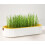 Federra Planter Graines Planter Hidroponic Graines Spring Tavi 4