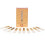AFQH10PCS Anches de clarinette Force 2.5 Accessoires pour clarinette 3