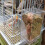 Vogelfutterhaus, Vogeltränke, Gartendekoration, Anhänger 4