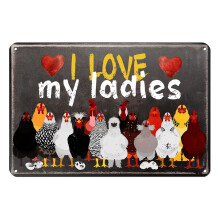 Zabawne kurczaki - metalowy znak z napisem "My Ladies" 30x20 cm, nowość ścienna do domu, łazienki, baru, kawiarni, garażu, domu wiejskiego,