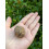 Natural Garnet Rough Stones, 0.75-2" Raw Garnet 3