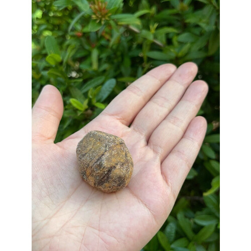 Natural Garnet Rough Stones, 0.75-2" Raw Garnet 2