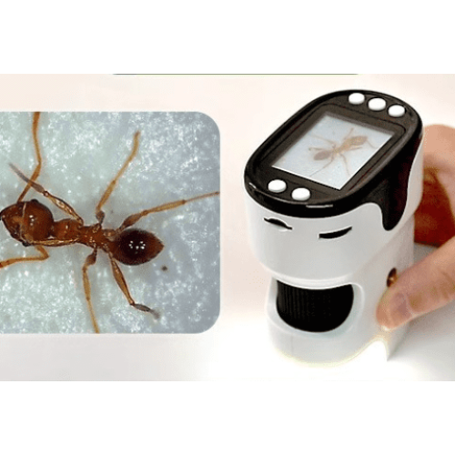 microscope loupe avec caméra à écran portable de poche 2