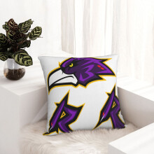Ravens Four Seasons Universele Decoratieve Pluche Kussenhoes, Vierkante Kussenhoes, Autokussenhoes Geschikt voor Bed, Bank, Woonkamer, Unisex Cadeau