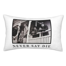 The Goonies Pillowcases, Super Soft and Cozy Fuzzy Pillow Cases with Zipper, 20x30 Inches, Bedroom, Sofa, Couch,All Seasons Pillow Case