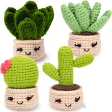 Crochet Kit for Beginners, 4 PCS Succulents Crochet Kit,Beginner Crochet Kit