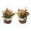 Rosa arancione artificiale in vaso 10,5  10,5  8 cm 1
