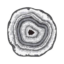 Tapis rond Big Tree utilisable toute l'année, pour la maison, la chambre, le bureau, le balcon ; tapis de sol lavable et antidérapant ; idéal