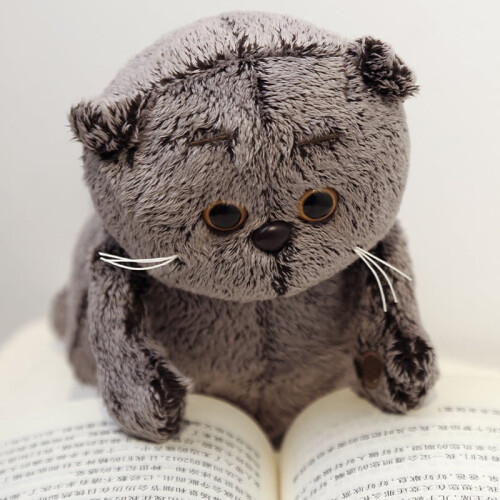 Cartoon Basik & Katze, Plüschtiere, 23 cm 1