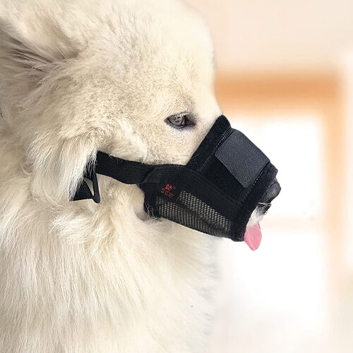 Dog Muzzle, Adjustable Pets Muzzle Mesh Breathable Nylon Soft Muzzle Anti-Biting Barking Mouth Cover for Small Medium Large Extra Dog 2